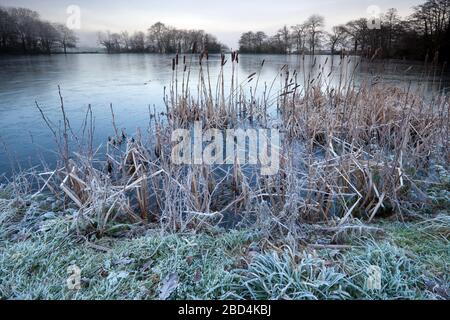 A covering of ice on the fishing lake at Old Wardour Castle near Tisbury in Wiltshire. Stock Photo