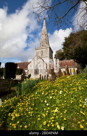 Celandines, primroses and daffodils in the churchyard of St. Margaret of Antioch Church in Chilmark, Wiltshire. Stock Photo