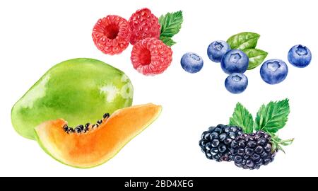 Papaya blackberry raspberry blueberry watercolor illustration isolated on white background Stock Photo