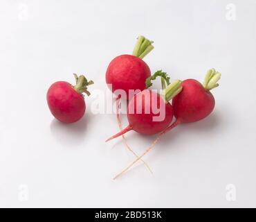 fresh red radish with leaves isolated on white background Stock Photo