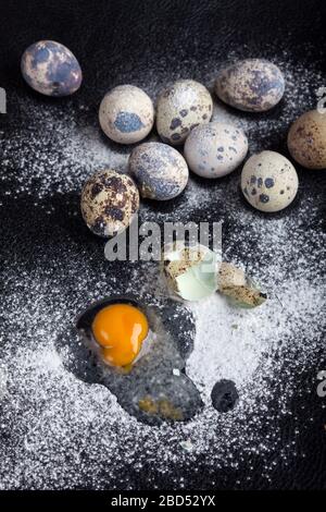 One quail egg broken into flour and eight whole eggs, soft focus Stock Photo