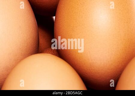 Eggs or Egg shot in Studio Stock Photo