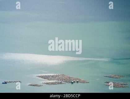 Underwater view of fishing float floating on water surface Stock Photo -  Alamy