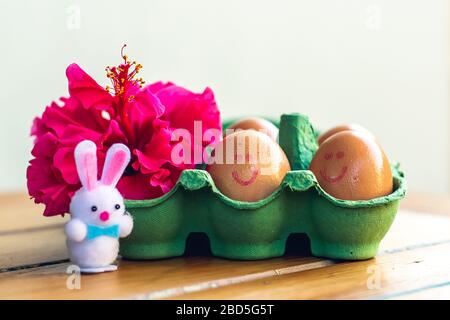 Brown fresh eggs with smiling faces in green tray with hibiscus flower and little Bunny, Easter concept Stock Photo