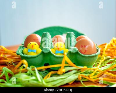 Brown fresh eggs with smiling faces in green tray with little chicken toys, Easter concept. Stock Photo