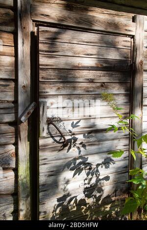 Old unpainted wooden door , Finland Stock Photo