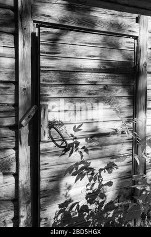 Old unpainted wooden door , Finland Stock Photo