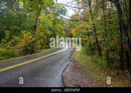 Empty winding back road through a deciduous forest on a rainy autumn day