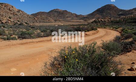 In the Goegap Nature Reserve, Springbok, Northern Cape, South Africa Stock Photo