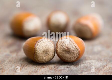 Whole healthy hazelnuts in shell on wooden background, closeup Stock Photo
