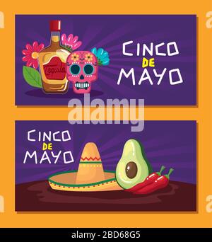 Mexican tequila bottle chillis avocado maracas and cactus vector design ...