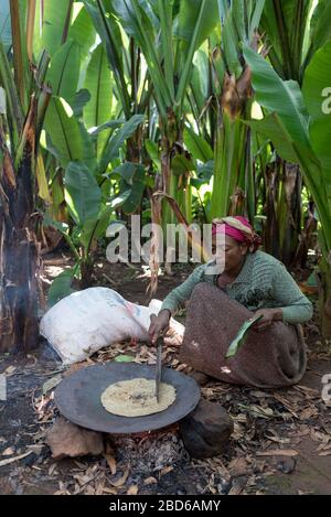 Woman raises banana like Teff, green behind her, to make Injera flat bread, which she cooks on fire,member of the Dorze ethnic group, Dorze, Ethiopia. Stock Photo