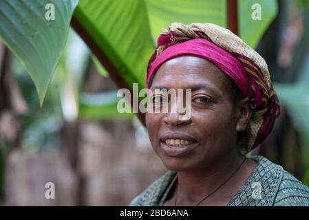 Woman raises banana like Teff, green behind her, to make Injera flat bread, which she cooks on fire,member of the Dorze ethnic group, Dorze, Ethiopia. Stock Photo