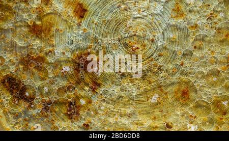 Oil stains on the water. Yellow brown background. Oil in a frying pan. Stock Photo