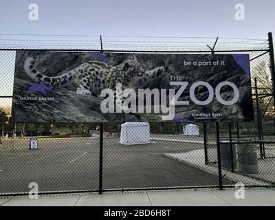 New York, USA. 06th Apr, 2020. A Tiger has tested positive of Coronavirus at the Bronx zoo in  New York City. The zoo is currently closed to the public because of the Coronavirus pandemic. Credit: ZUMA Press, Inc./Alamy Live News Stock Photo