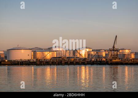 Rotterdam Netherlands 07 April 2020, Oil harbour with tank terminals and chemical carriers in the port of Rotterdam during sunrise Stock Photo