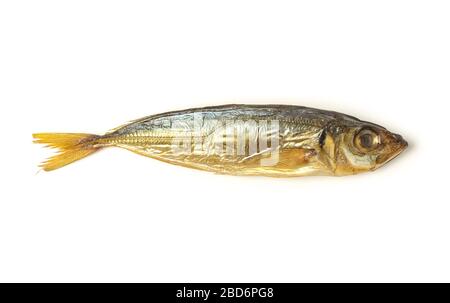 Smoked scad close up isolated on white Stock Photo