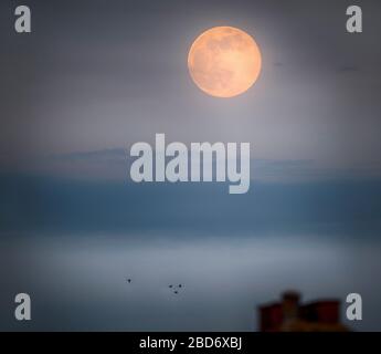 Wimbledon, London, UK. 7th April 2020. The Super Moon, or Pink Moon, rises above London suburbs in hazy evening sky, reaching full moon by 03.35am. Credit: Malcolm Park/Alamy Live News Stock Photo