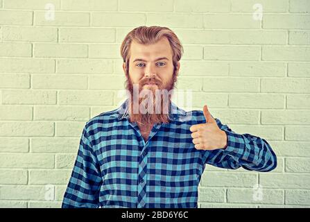 Cheerful handsome blonde bearded man showing thumbs up gesture with hands fingers isolated White bricks Wall background. Toned Image retro style mille Stock Photo