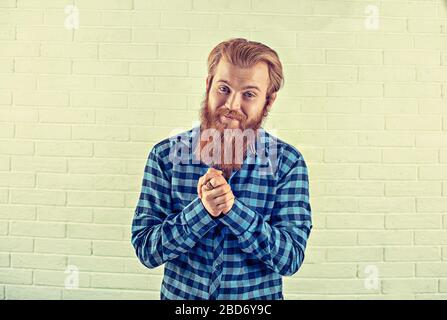 Portrait of a bearded guy laughing smiling funny casual blue shirt man looking at you camera showing  thank you   clasped hands, grateful for his good Stock Photo