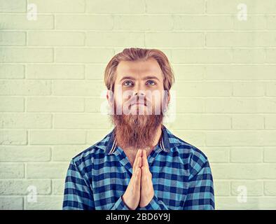 Portrait of a bearded guy in casual blue shirt man looking looking up praying with hands gesture isolated white brick wall background. Yellow Toned ho Stock Photo