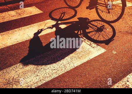 Shadow of cyclist on pedestrian zebra crossing on sunny summer day Stock Photo