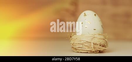 White speckled egg in bird nest , Easter holiday decorations , Easter concept with sunbeam background Stock Photo