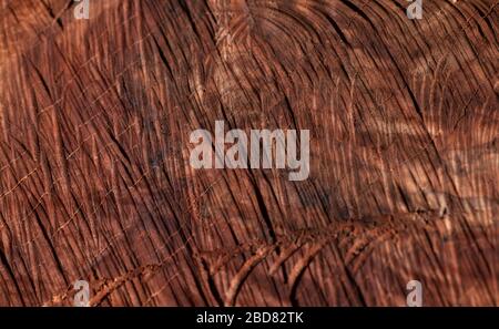 Lots of detail, ridges and lines makes this wood grain background a unique and eye appealing piece with bokeh effect. Stock Photo