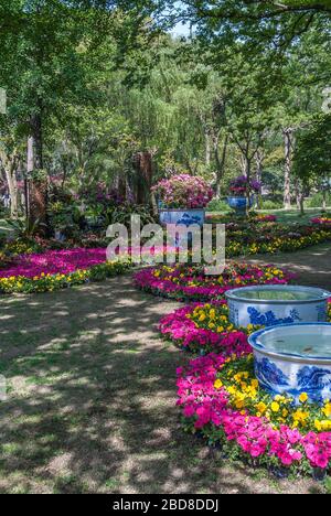 Suzhou China - May 3, 2010: Humble Administrators Garden. Portrait of pink and yellow flower composition with large low blueish circular vessels fille Stock Photo