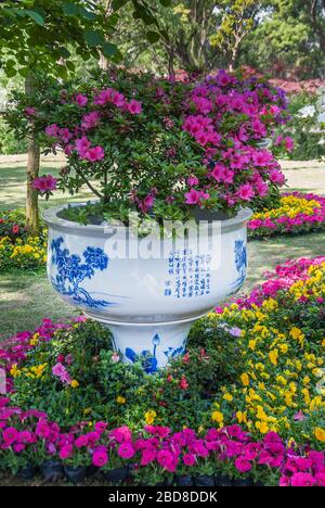 Suzhou China - May 3, 2010: Humble Administrators Garden. Closeup of pink and yellow flower composition with large blueish circular vessel or vase. Gr Stock Photo