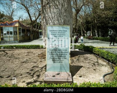 Baku, Azerbaijan - May 2, 2019: Information near a tree Chorisia Speciaosa Baobab tree 215 years old with people walking in background Milli Park Stock Photo