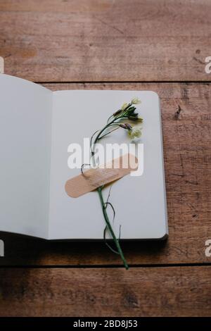 flower stuck with plaster on a notebook on wooden table Stock Photo