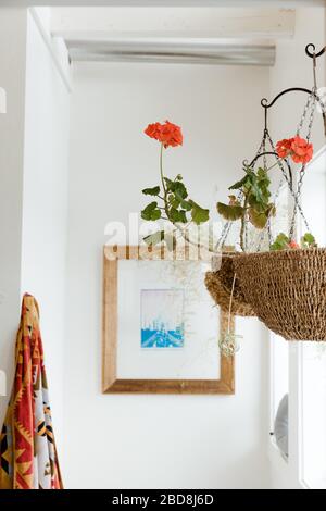 hanging geraniums and Pendleton towel decorate a clean white bathroom Stock Photo
