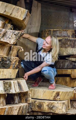 Inside the Wood Industry or Lumber Industry private sector, production of forest products. Female carpenter making slab furniture products, working in Stock Photo