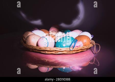 Colorful chicken and quail eggs with feathers in straw plate on glossy background with pink targeted light. Easter concept. Stock Photo