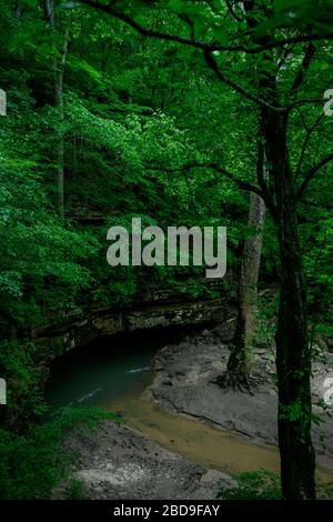 Blue Waters Creep out of River Styx Spring in Mammoth Cave Stock Photo