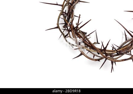 A crown of thorns on a white background. Easter theme Stock Photo