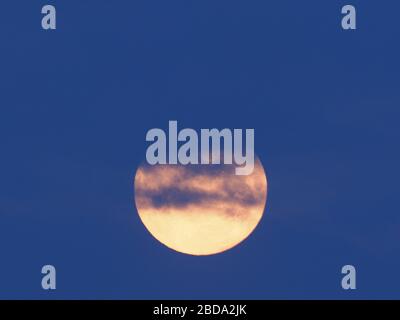 Sheerness, Kent, UK. 8th Mar, 2020. The full Pink supermoon, the largest supermoon of 2020, seen setting above Sheerness, Kent this morning. Credit: James Bell/Alamy Live News