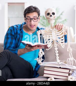 The student studying with skeleton preparing for exams Stock Photo