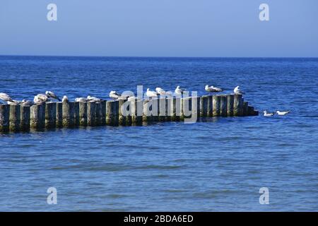 Baltic. Ustka, Pomeranian Voivodeship, Poland. Stock Photo