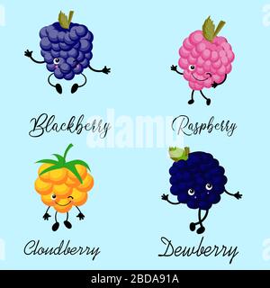 A set of berries. blueberries, blackberries, raspberries and cloudberries. Healthy fruits. Vegetarianism. Stock Vector