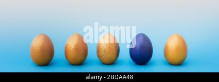 Golden and blue easter eggs on blue pastel background. Easter concept. Place for text. Banner. Stock Photo