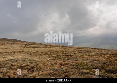 Foggy Ticknock mountain landscape with heathland, Dublin, Ireland Stock Photo