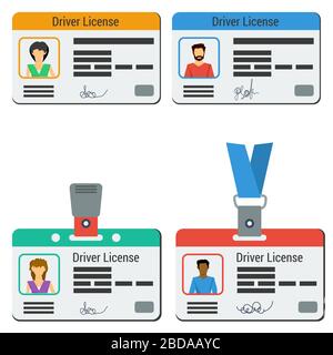 Four colored drivers license Stock Vector