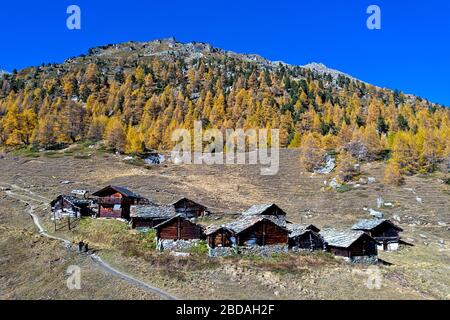 The hamlet of Le Louché at the foot of a larch forest in bright autumn colors, Val d'Herens, Eringertal, Valais, Switzerland Stock Photo