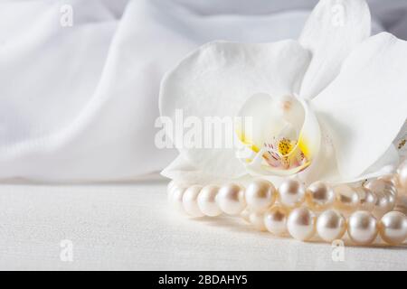 Orchid flower with a pearl necklace. Selective focus, macro Stock Photo