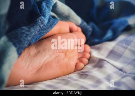 The legs of a man sleeping under a warm blue blanket, which lie on a checkered lilac sheet and are illuminated by the morning light. Lazy morning. Stock Photo