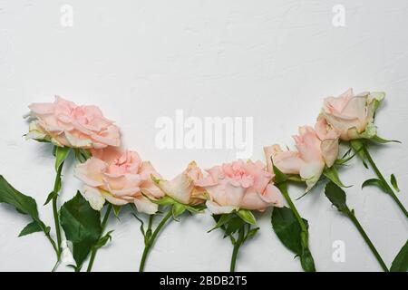 Floral pattern of delicate pink roses. isolated on white background Stock Photo