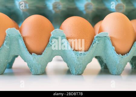 Fresh brown chicken eggs in a green box Stock Photo