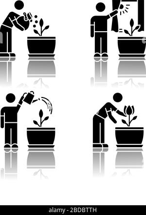 Indoor gardening stages drop shadow black glyph icons set. Plant cultivation. Fertilizing soil, watering flowers. Exposing plants to sunlight Stock Vector